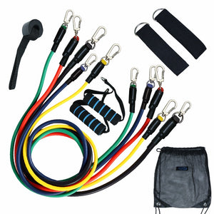 FlexLab's 11Pc Resistance Bands Set